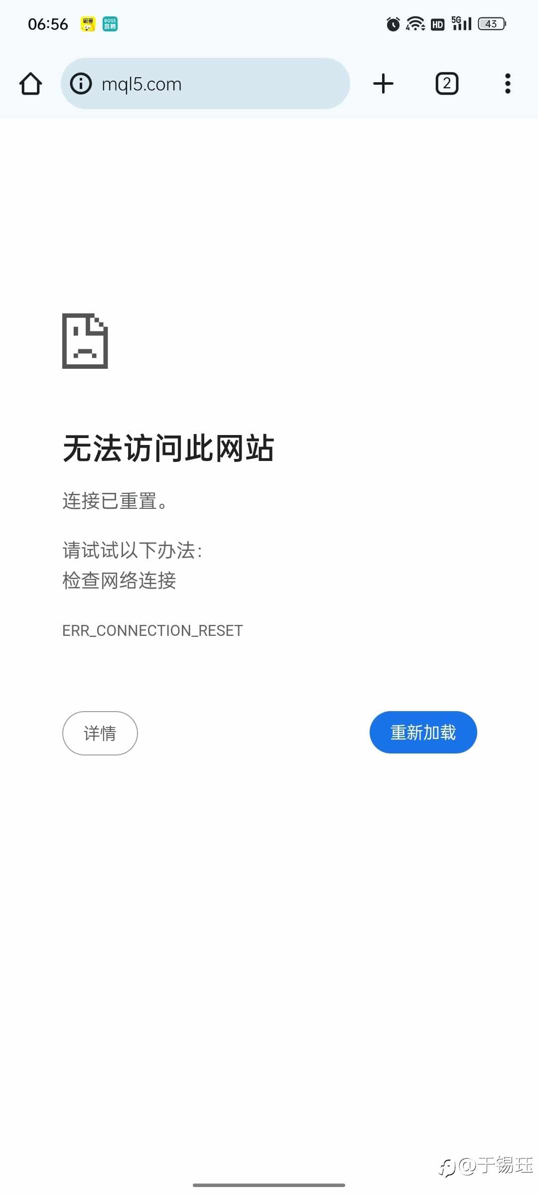 feed-image-0