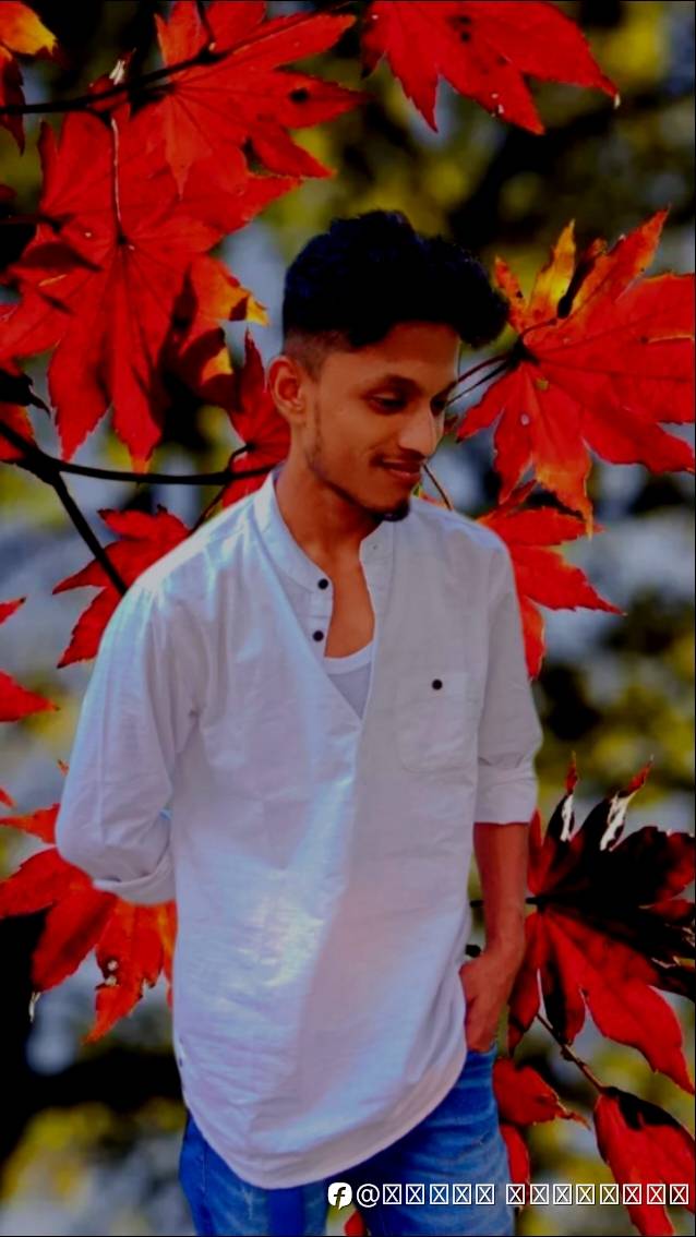 feed-image-0