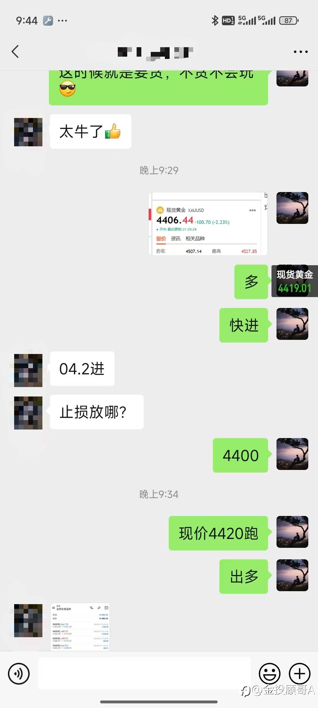 feed-image-1