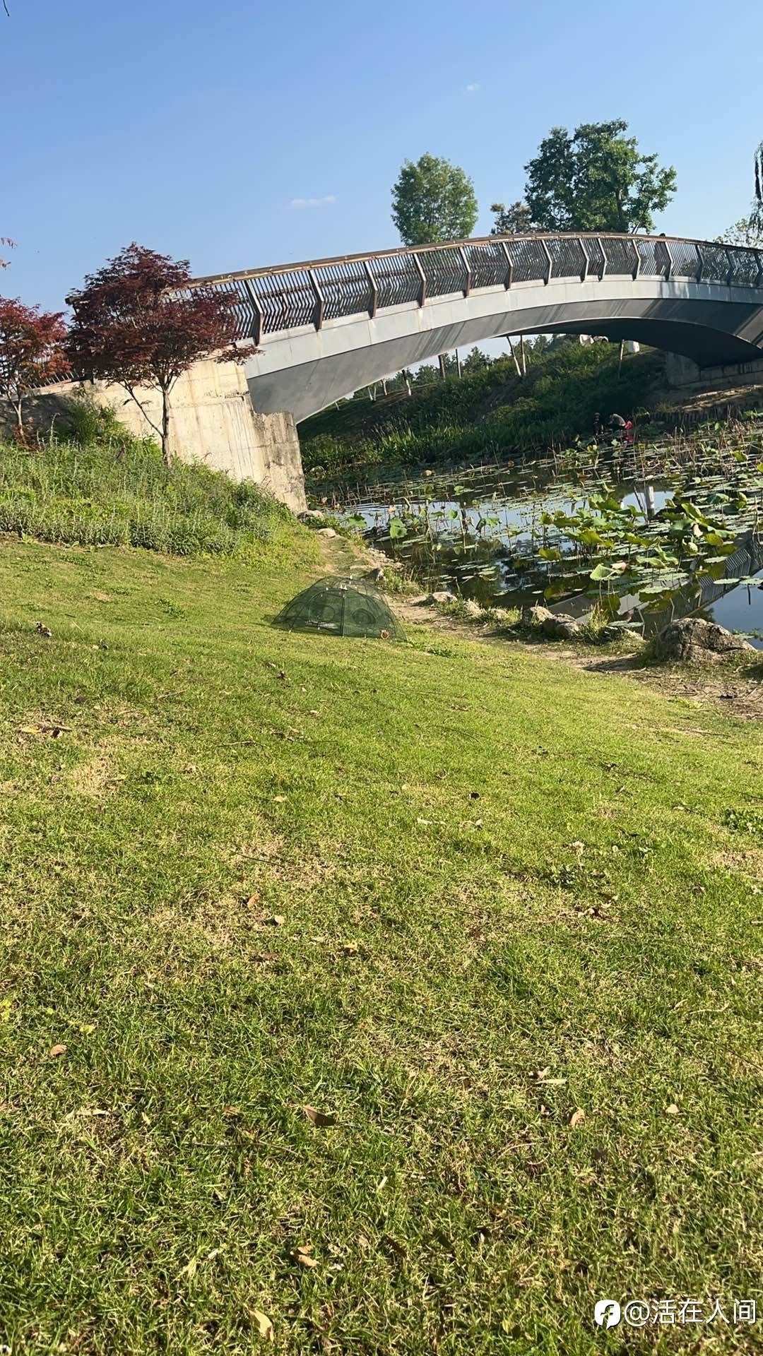 feed-image-1