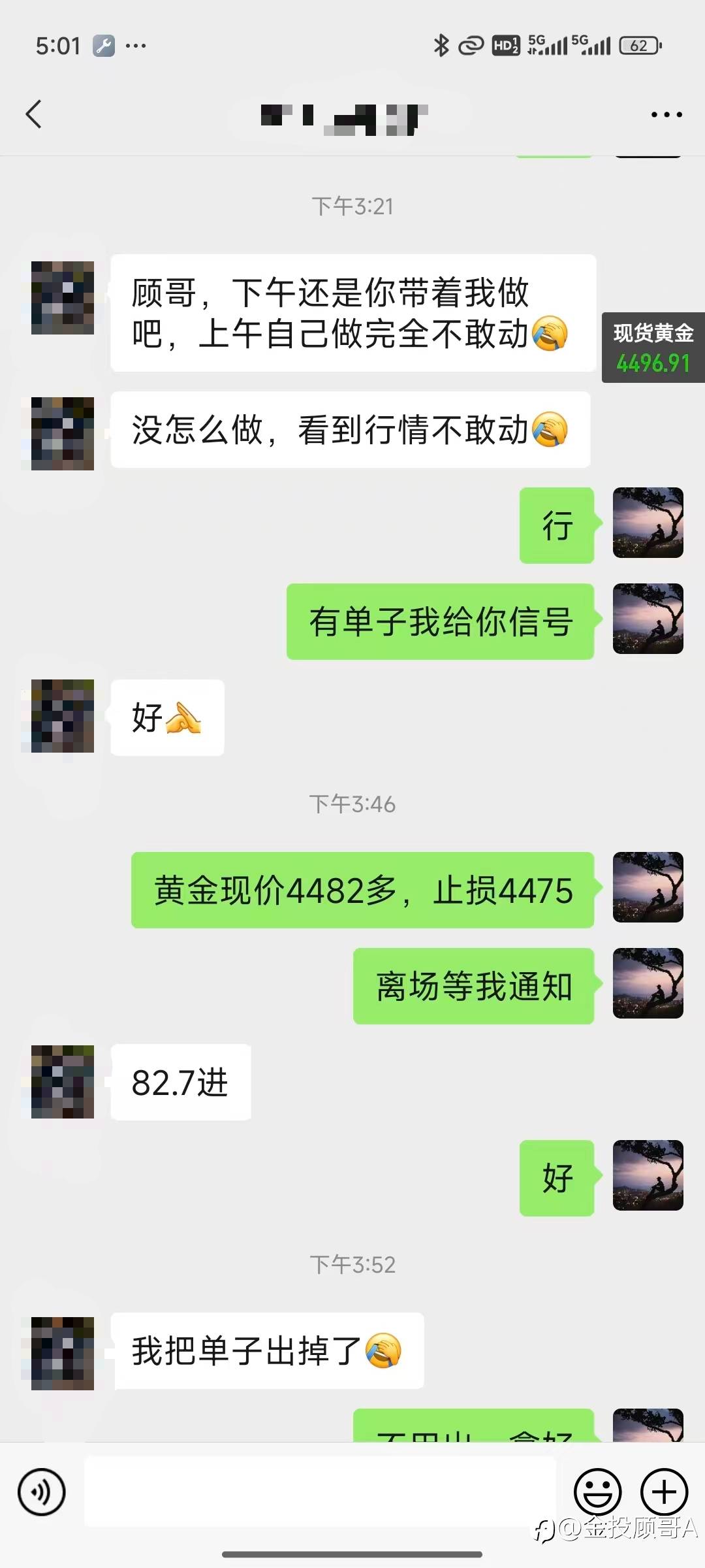 feed-image-1