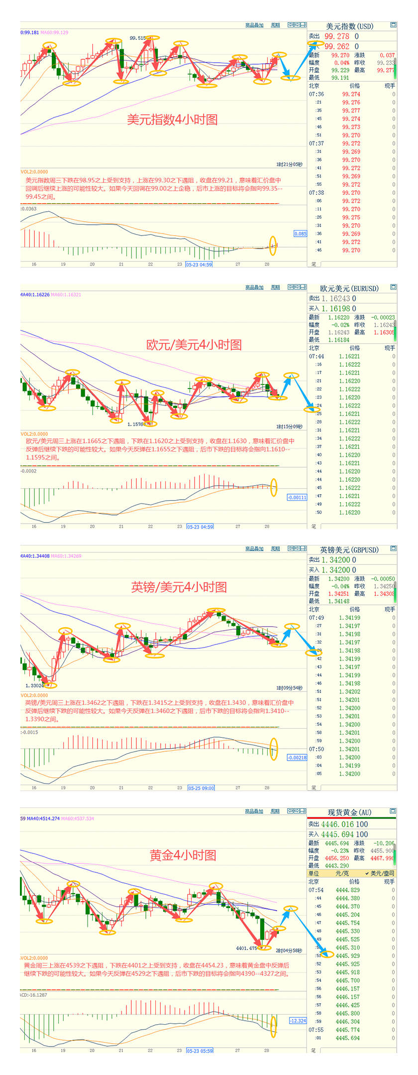 feed-image-2