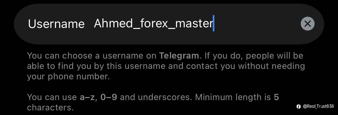 feed-image-0