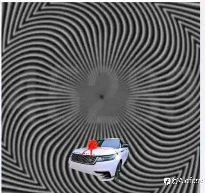 feed-image-2