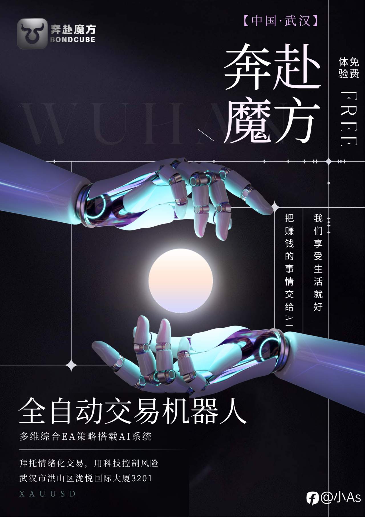 feed-image-1