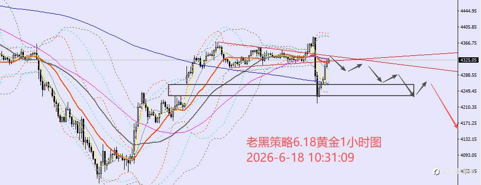 feed-image-2