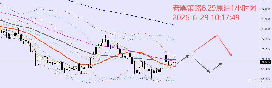 feed-image-3