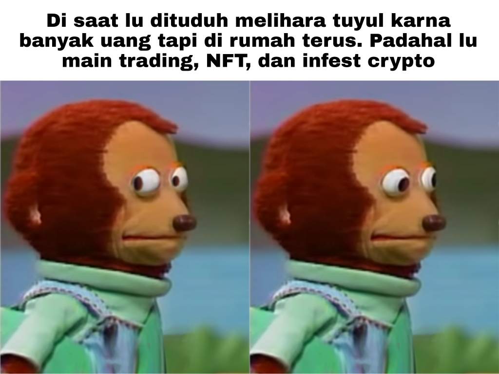 feed-image-0