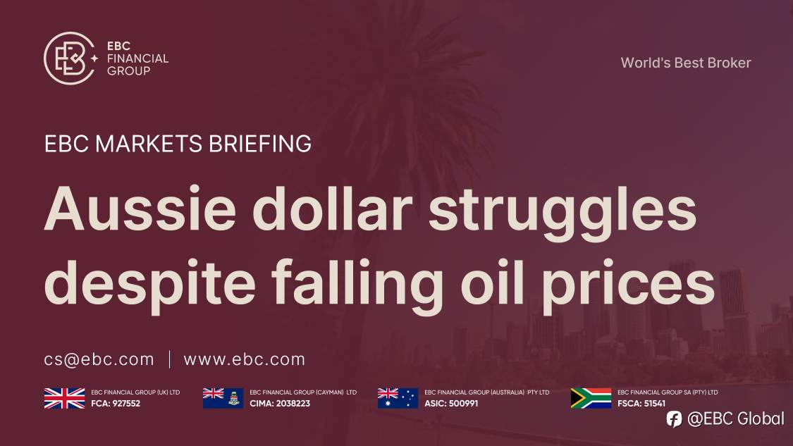 feed-image-0