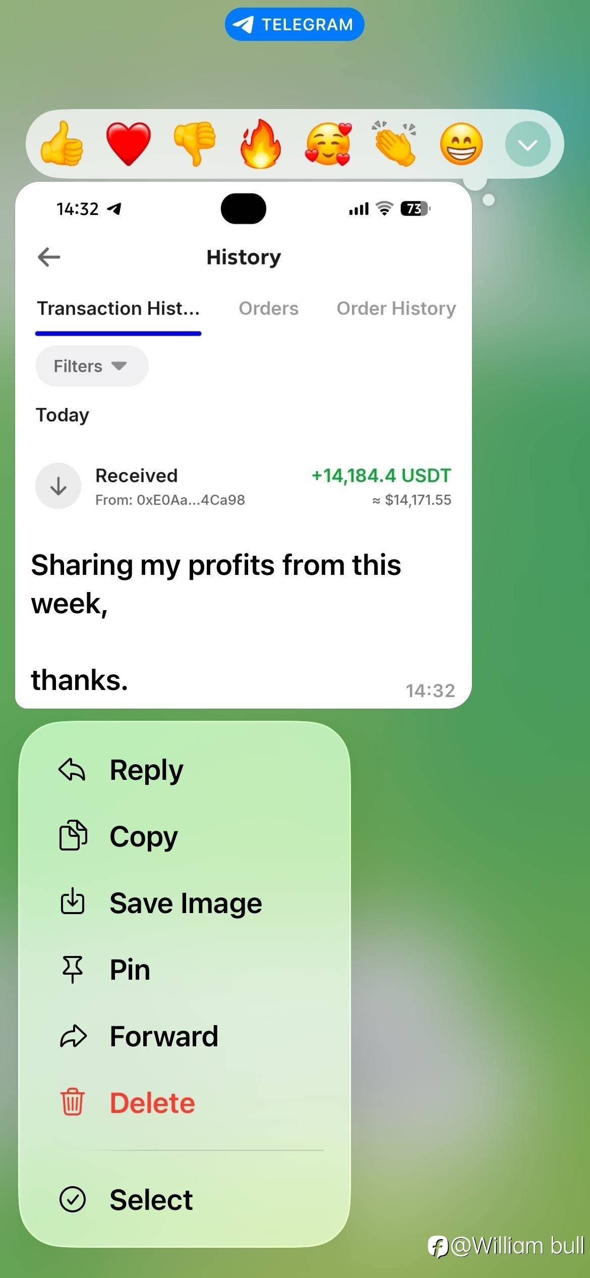 feed-image-1