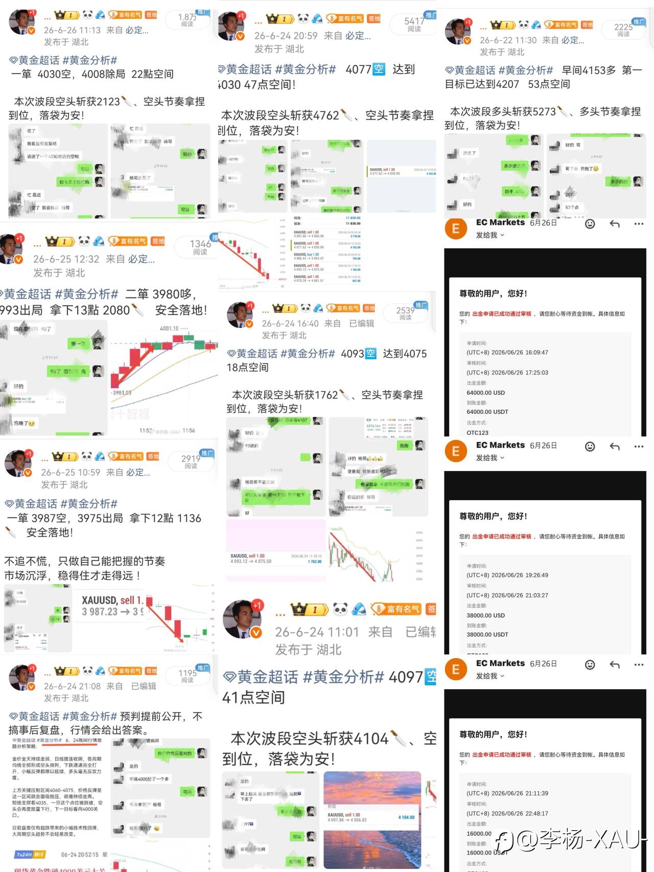 feed-image-1