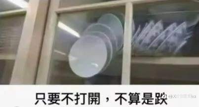 feed-image-0