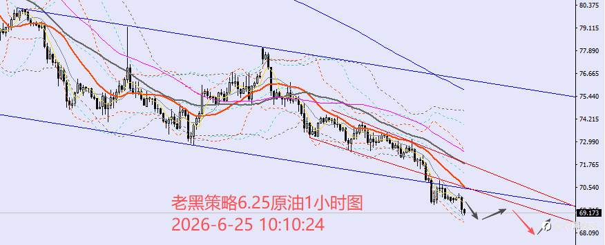 feed-image-3