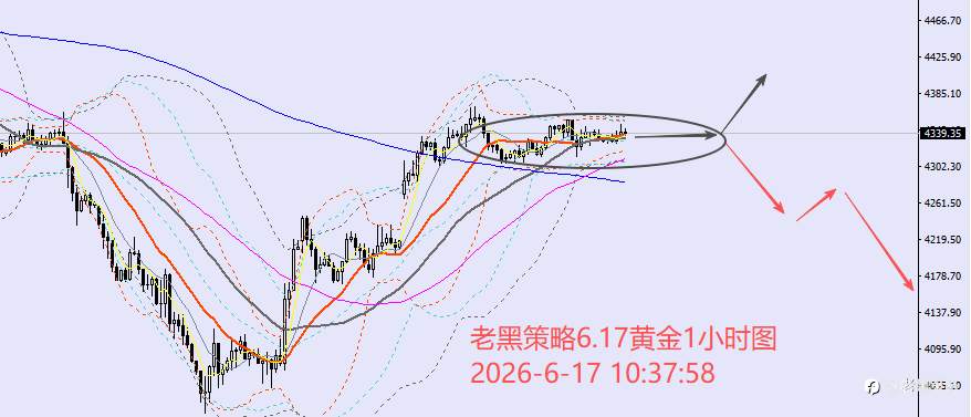 feed-image-2