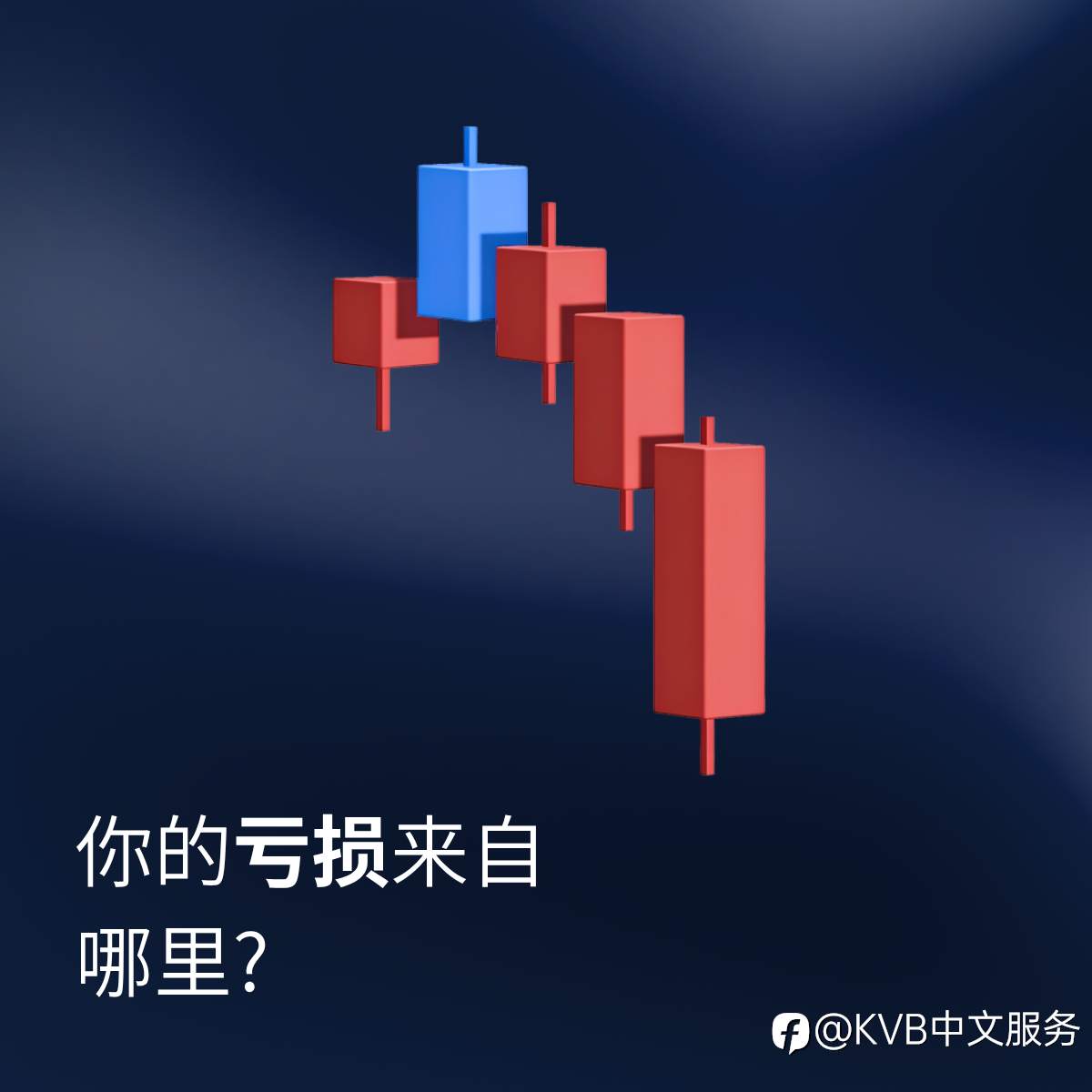 feed-image-2