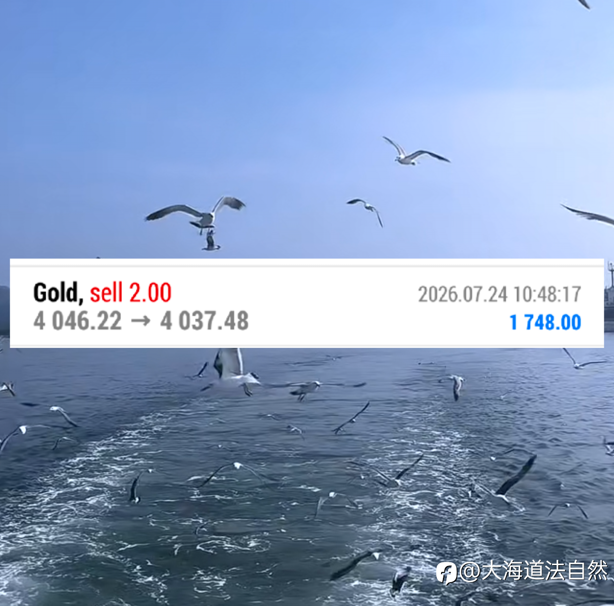 日内第一弹：4050双顶信号做箜，4046进，4037出，拿下9美金箜间！ ​​​