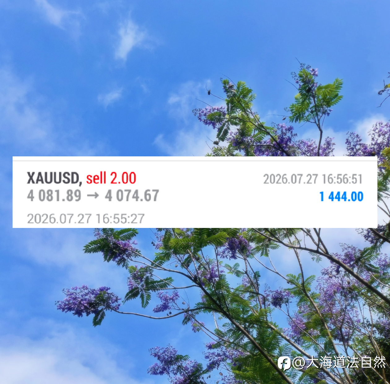 美磐机会就是多，一分钟洛带1444🔪！