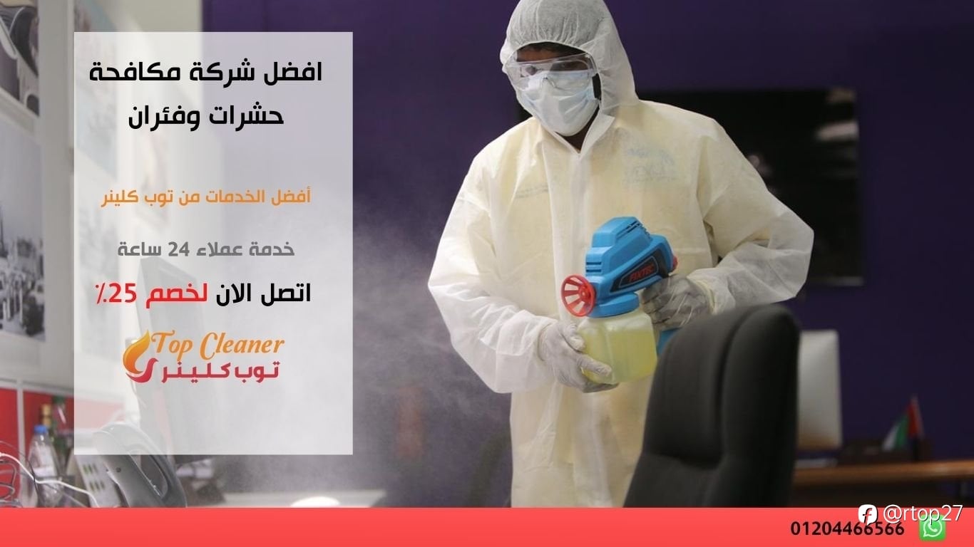دليلك للتعاقد مع افضل شركة مكافحة حشرات وفئران موثوقة