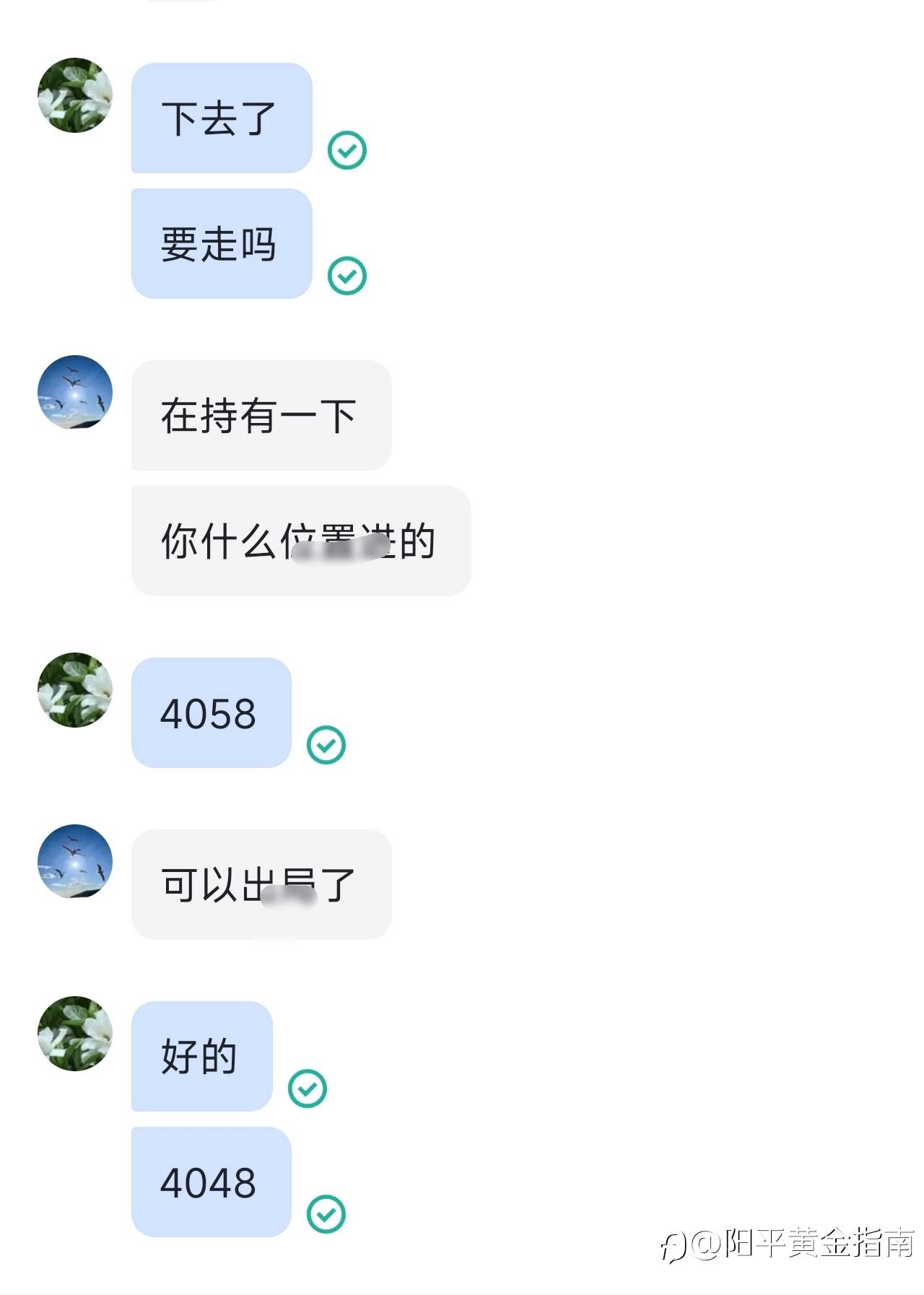 feed-image-1
