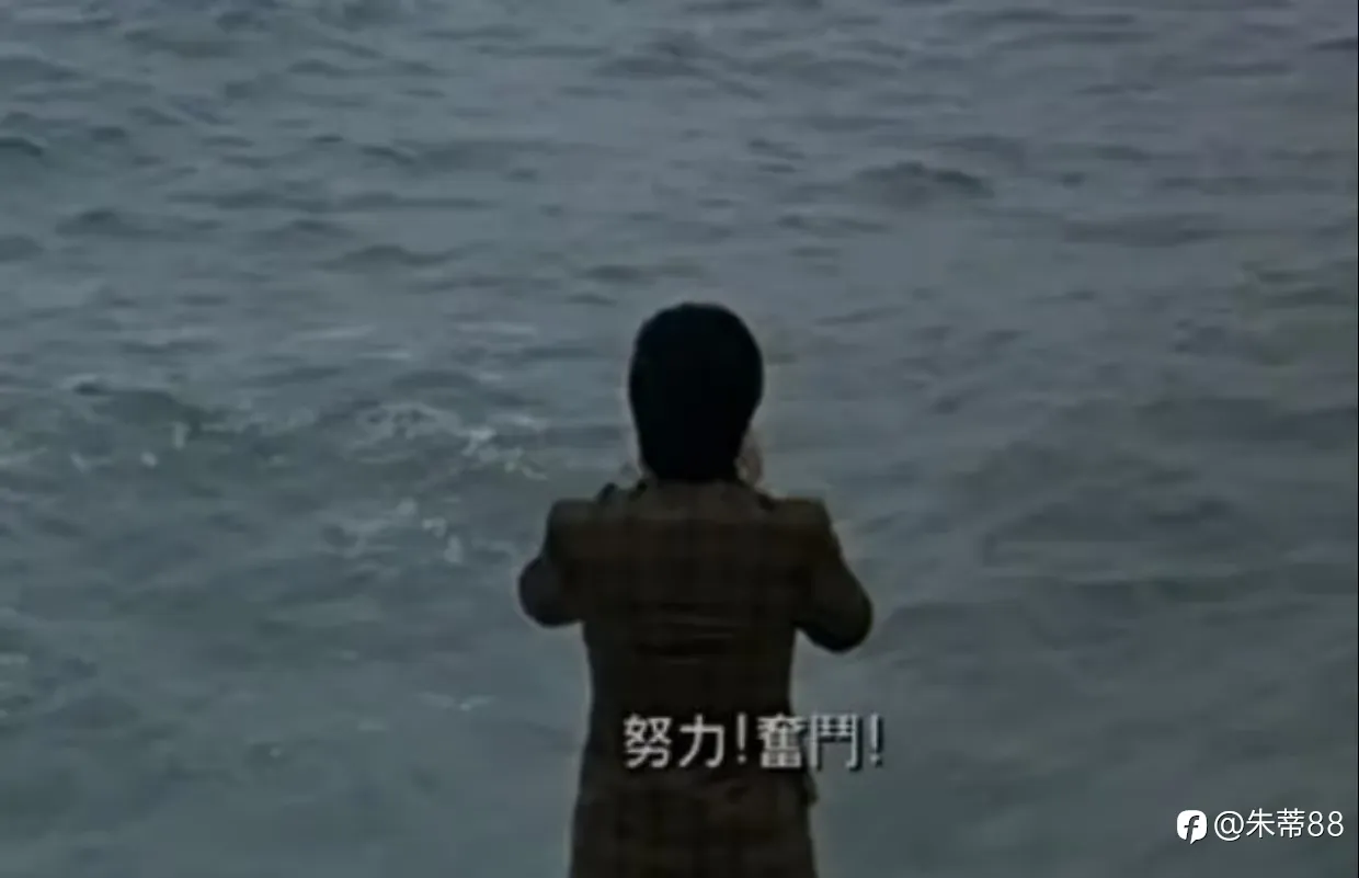 feed-image-1