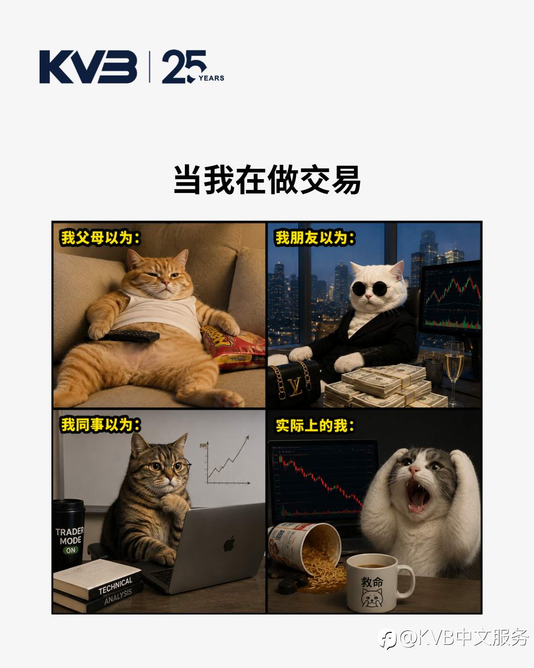 feed-image-0