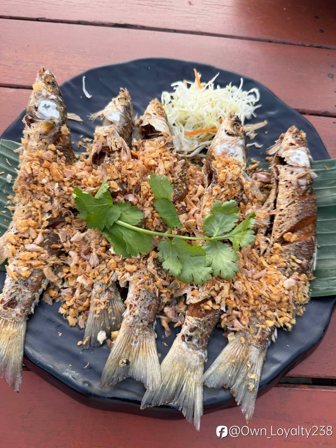 feed-image-1