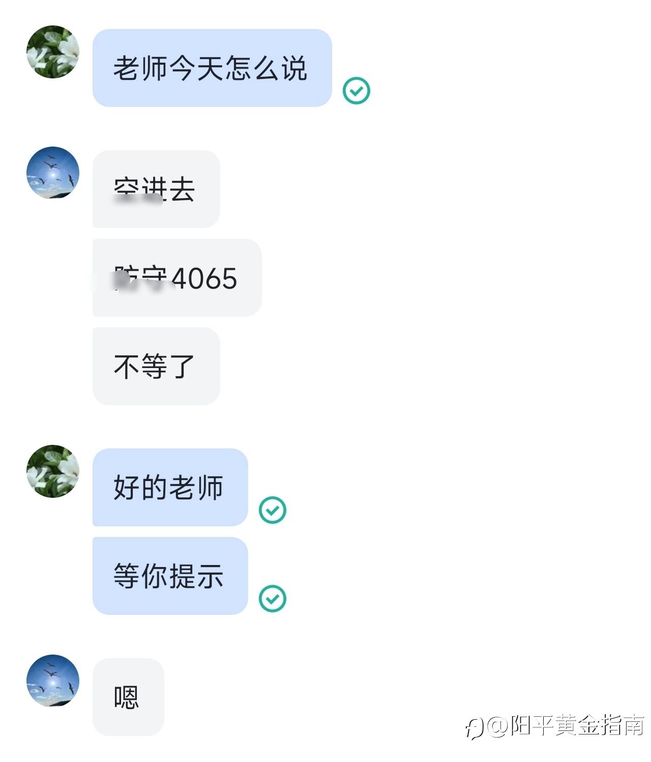 feed-image-0