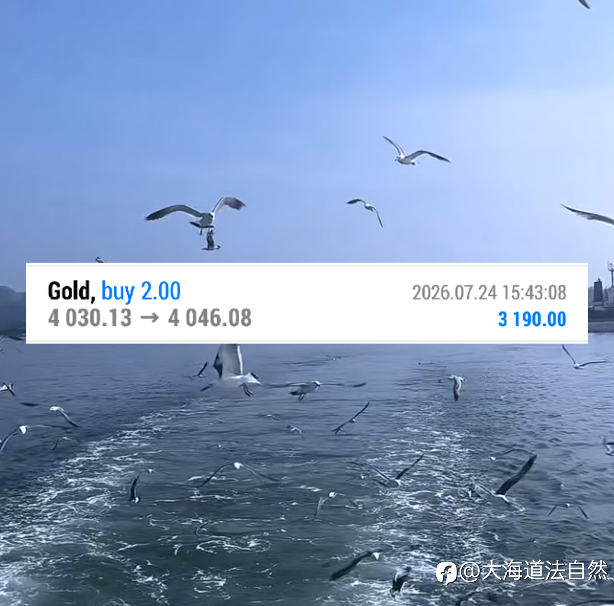 日内第二弹：看准时机，拿住，就是这么简单！