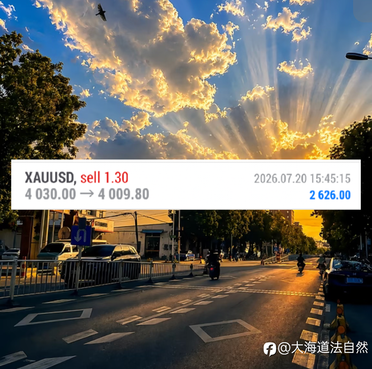 日内布局的箜丹拿下20美金箜间