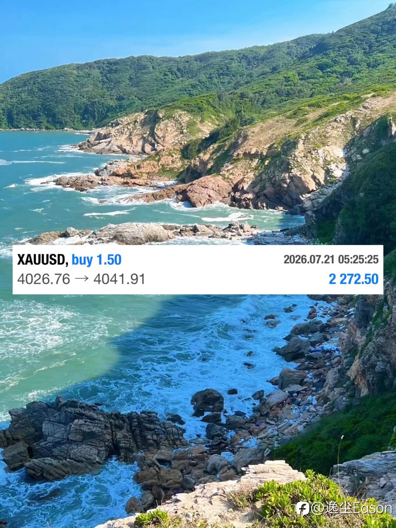 feed-image-1