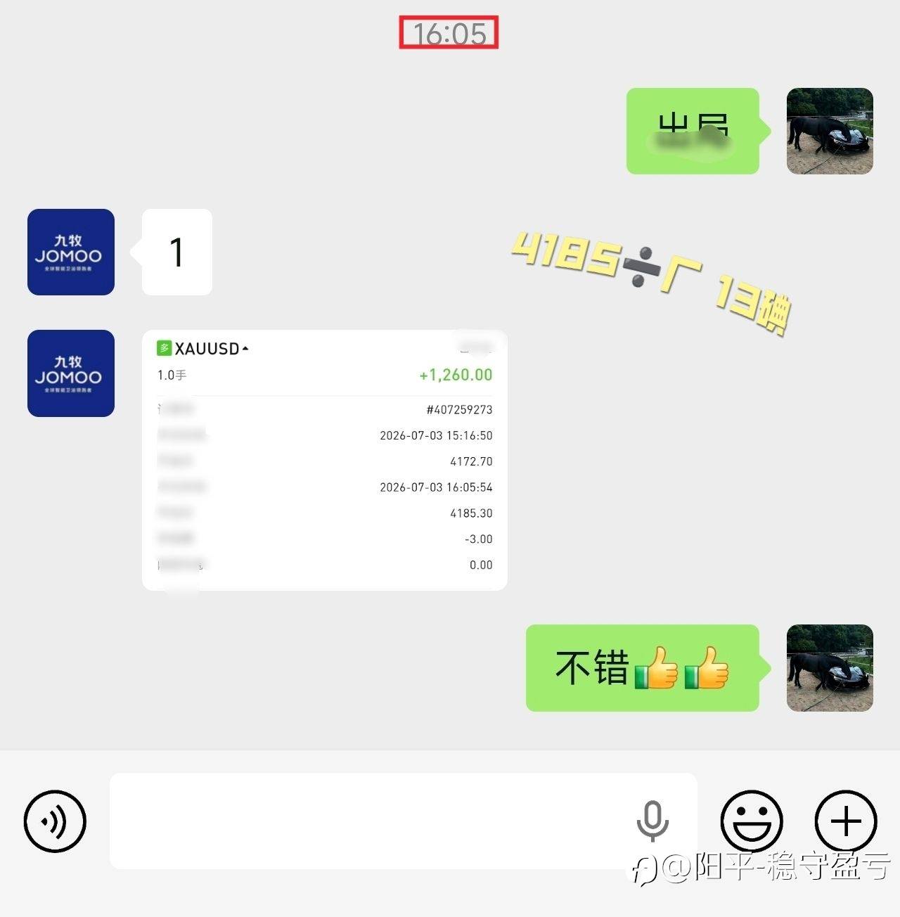 feed-image-1