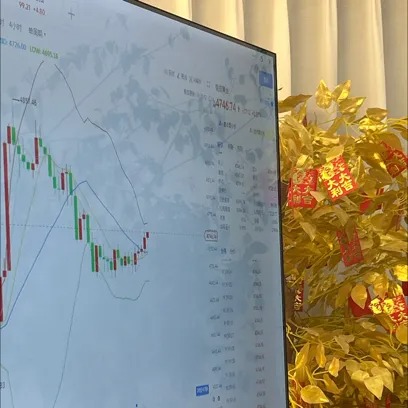 500手WTI,单周盈利74万美元!