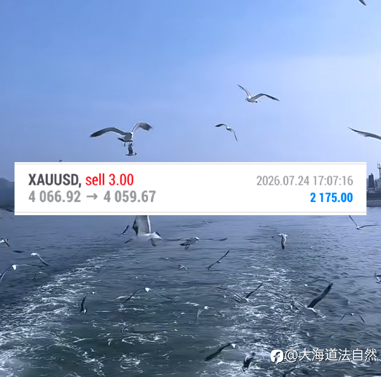日内第五弹：收官之战，短线4067进，4060出，洛带2100🔪