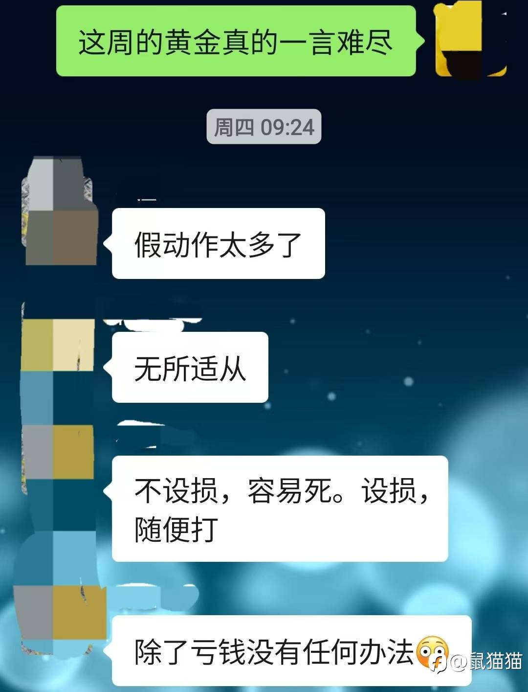 feed-image-0