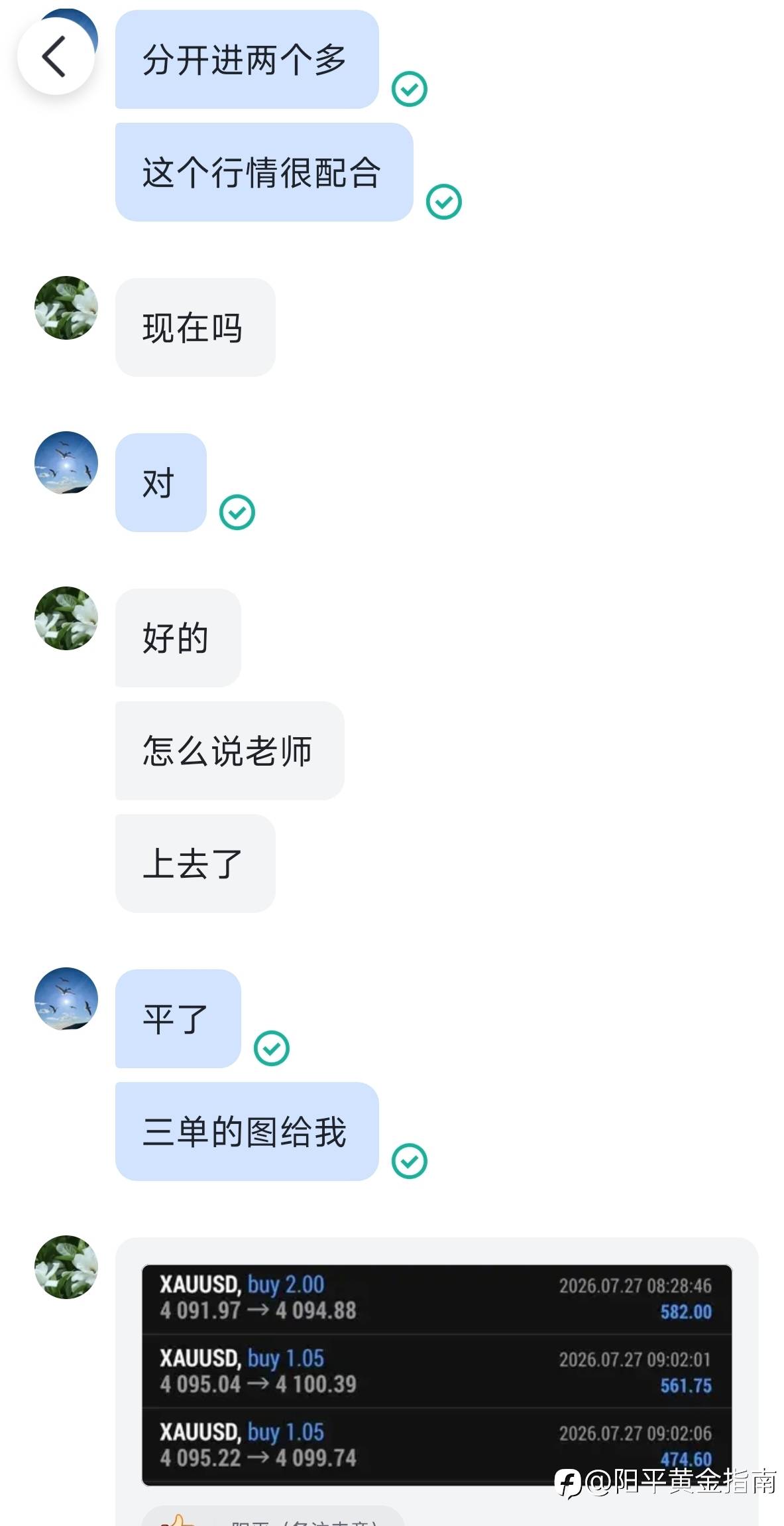 feed-image-1