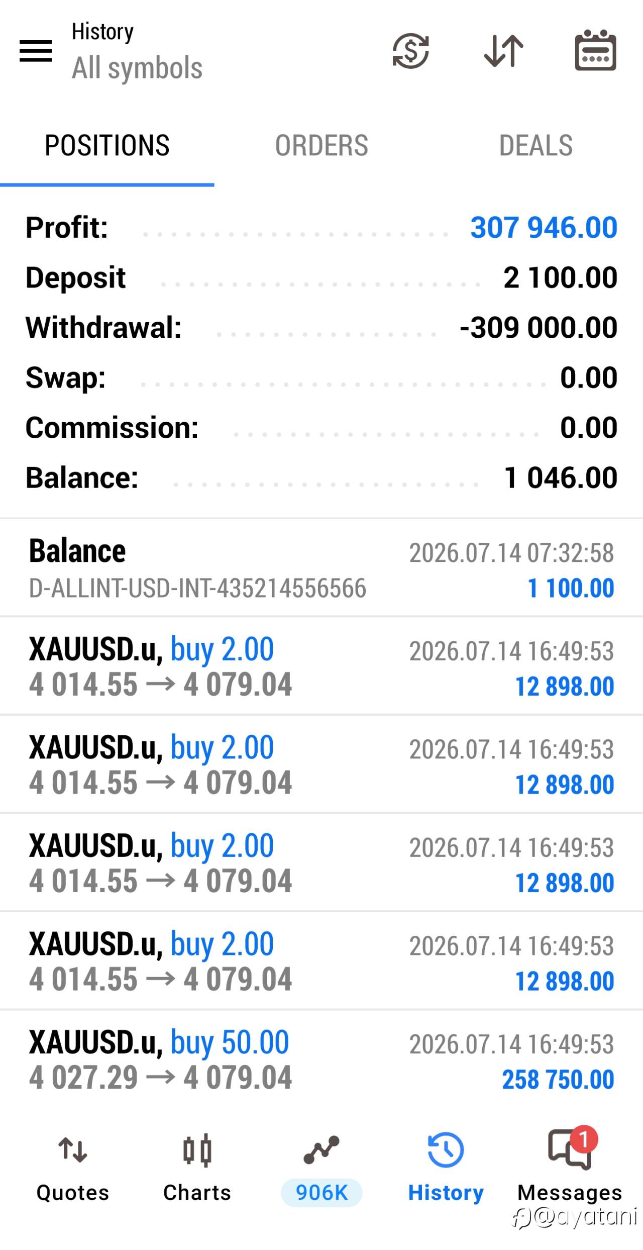 feed-image-1