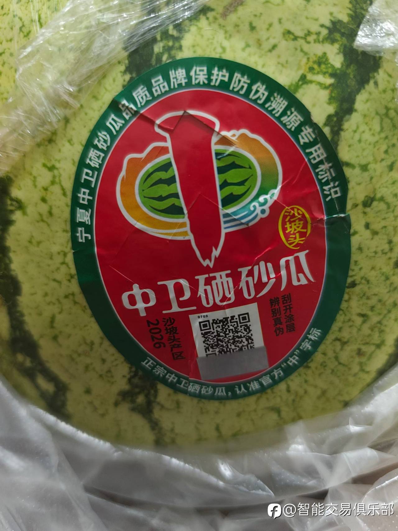 feed-image-0