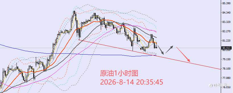 feed-image-1