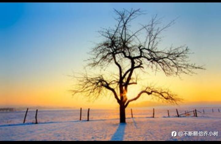 feed-image-3