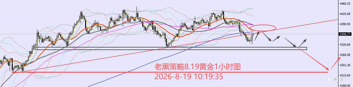 feed-image-2