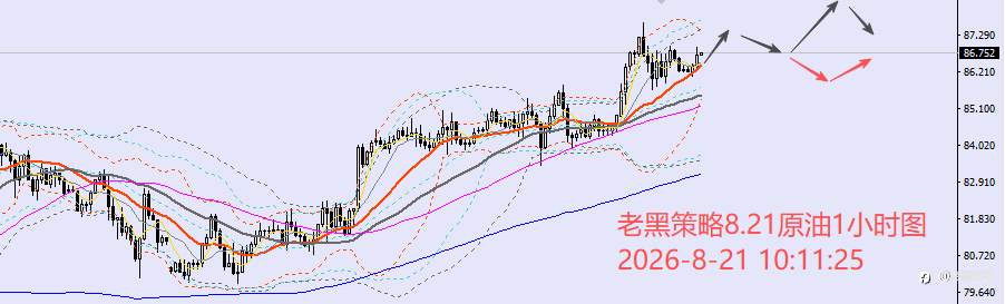 feed-image-3