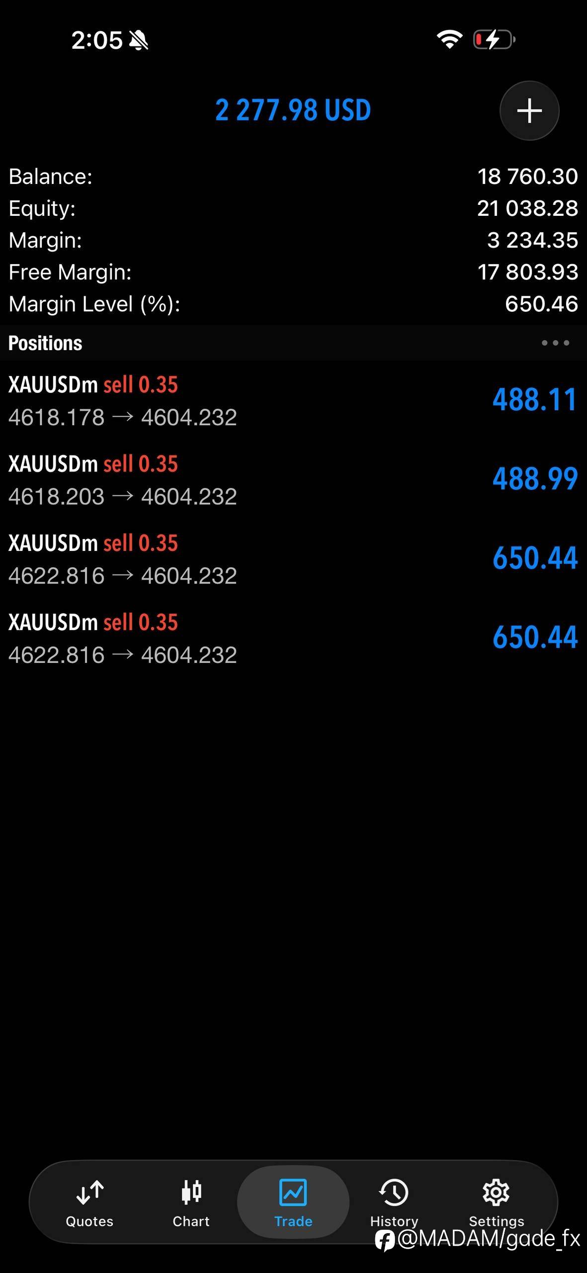 feed-image-1