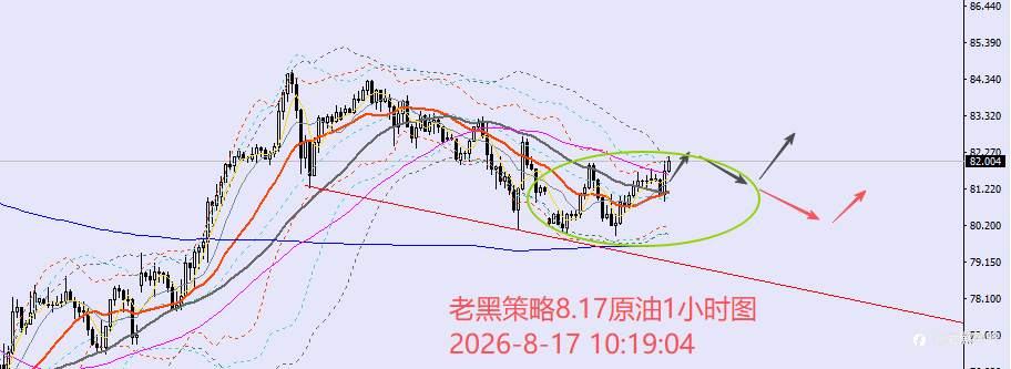 feed-image-3
