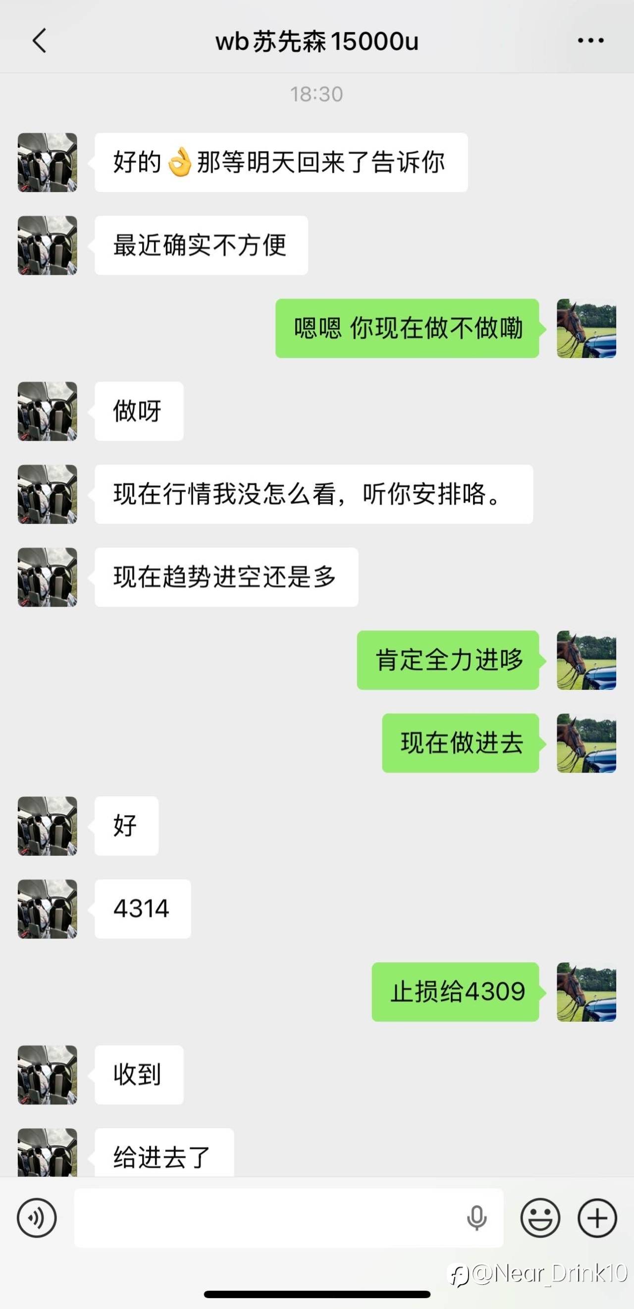 feed-image-1