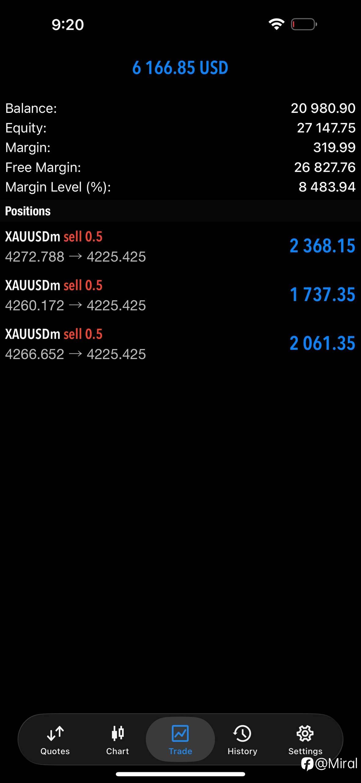 feed-image-1