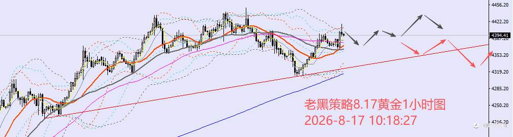 feed-image-2