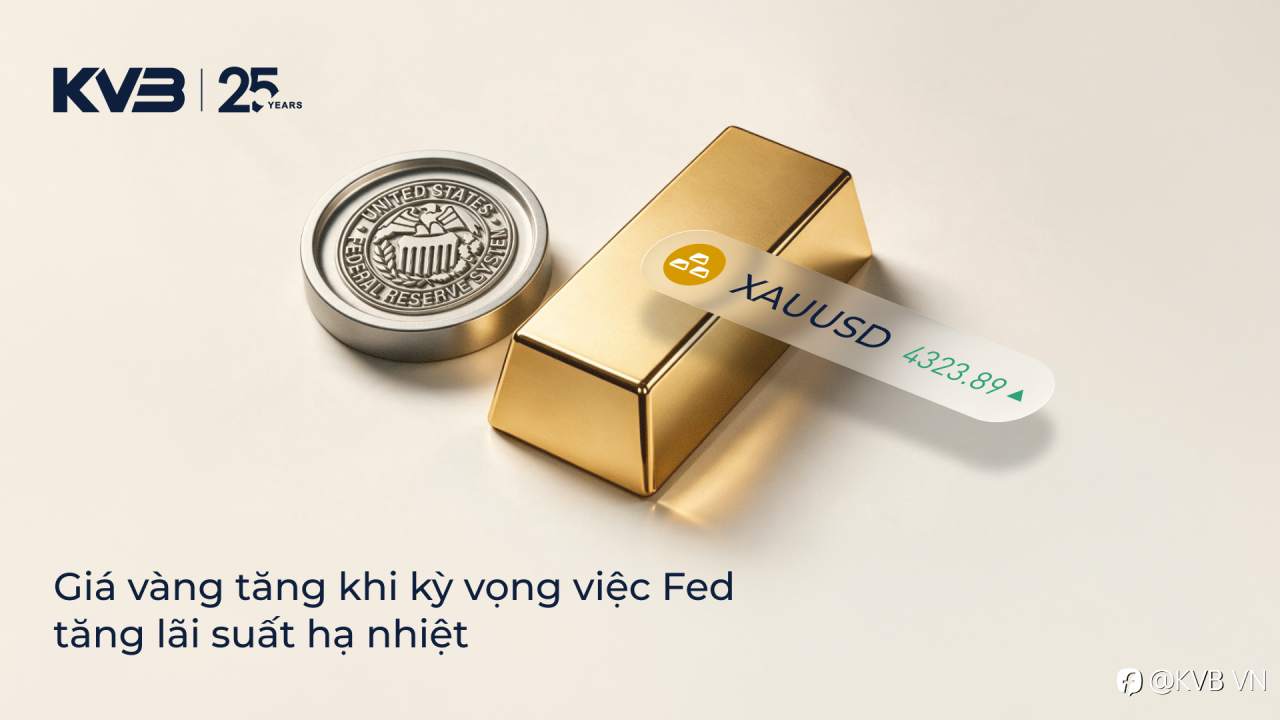 feed-image-0