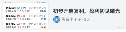 喵喵看汇友(十四)