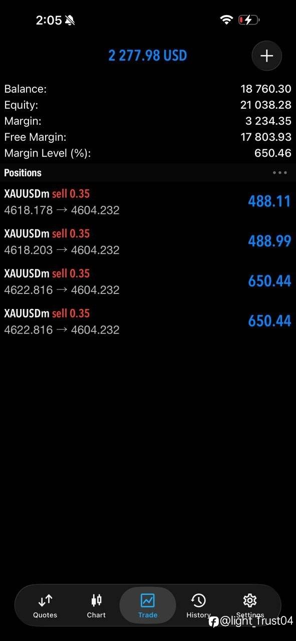 feed-image-1