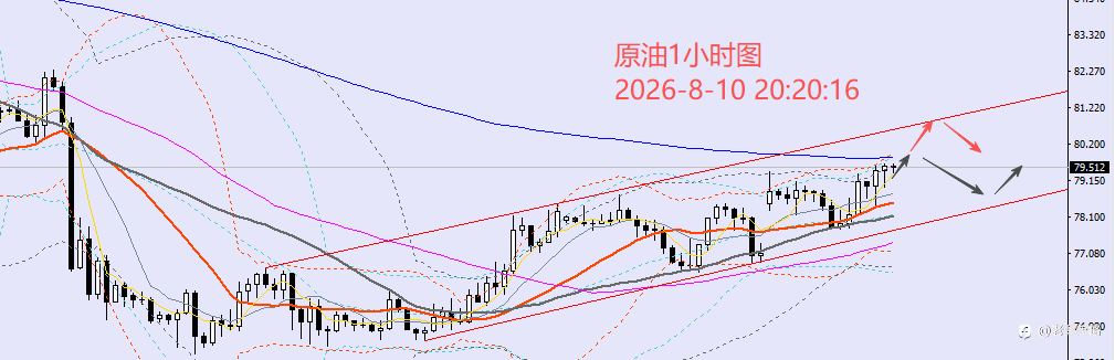 老黑策略：8.10晚盘外汇、黄金、原油分析策略